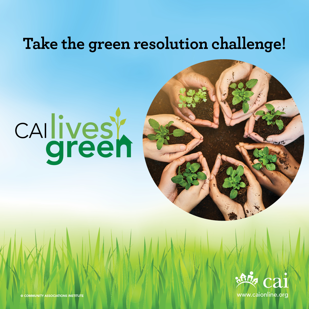 CAILivesGreenChallengeShare.jpg